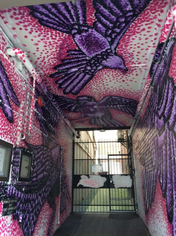 dunedin_street_art_pillans